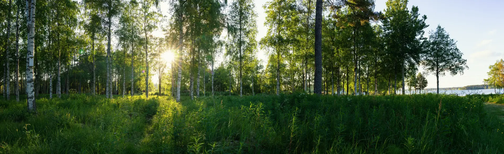 Ventilation i Sverige — FTXaggregat.se